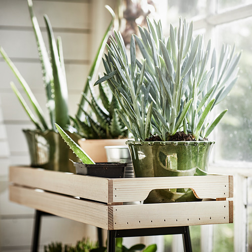 VANILJSTÅNG plant stand