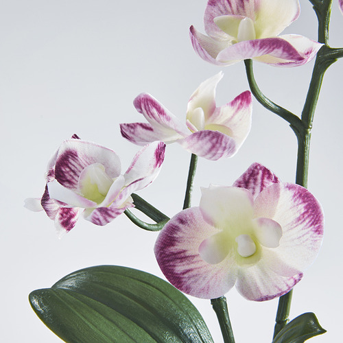 FEJKA artificial potted plant