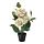 FEJKA - 人造盆栽, 室內/戶外用/繡球花 綠色 | IKEA 香港及澳門 - PE717271_S1