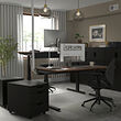 MITTZON desk sit/stand