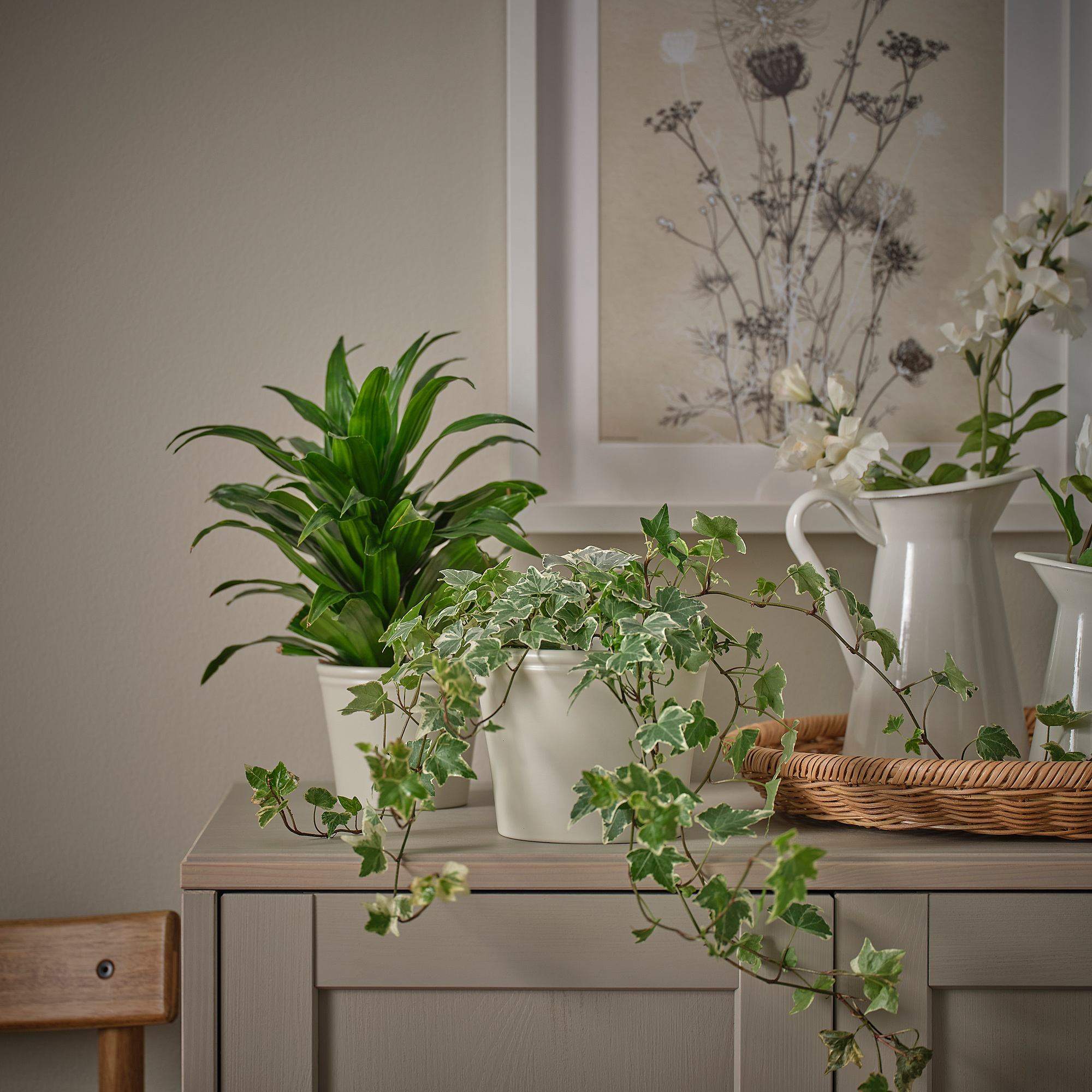 KÖRSBÄRSBJÖRK plant pot