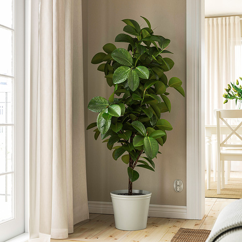 KÖRSBÄRSBJÖRK plant pot