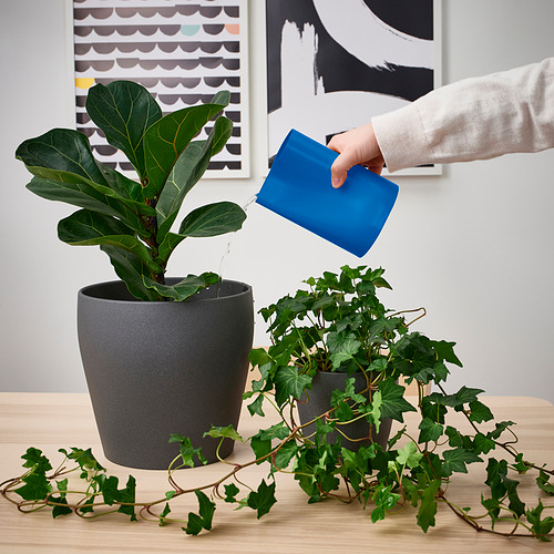 CHILIFRUKT vase/watering can