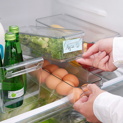 KLIPPKAKTUS storage box for fridge