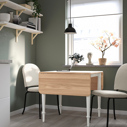 DANDERYD/EBBALYCKE 一檯兩椅