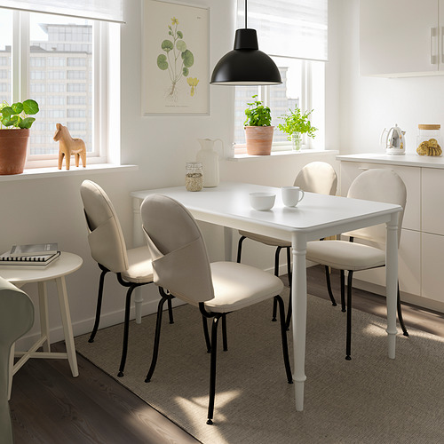 DANDERYD/EBBALYCKE table and 4 chairs