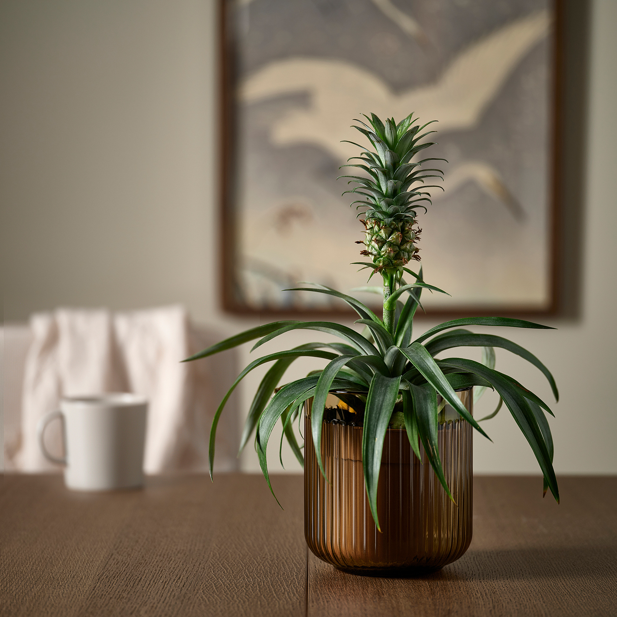 GRADVIS plant pot