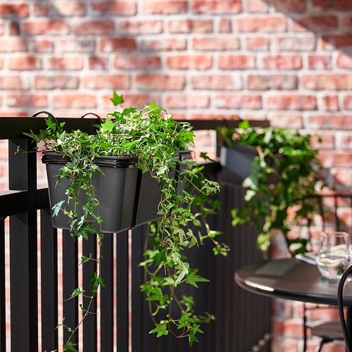 ROSENKÅL flower box with holder