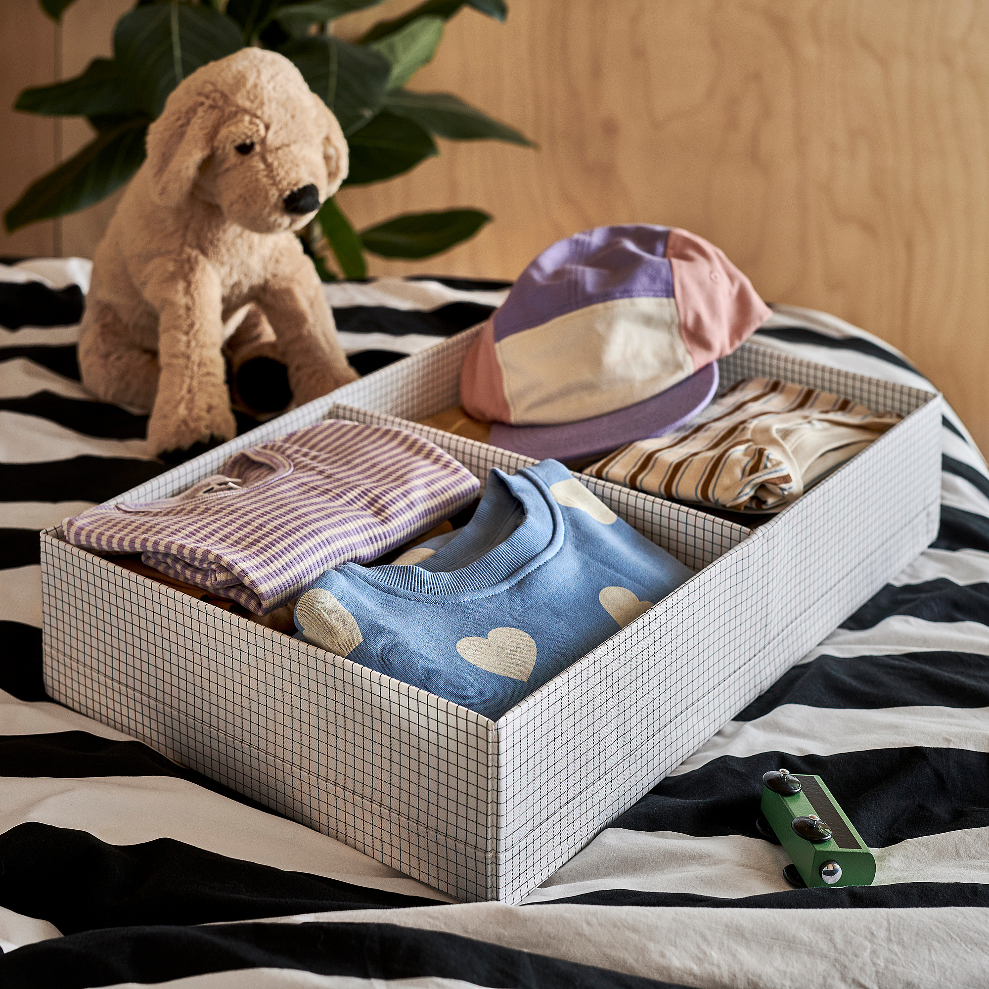 STUK box with compartments