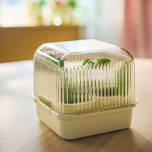 DOFTRIPS growing set