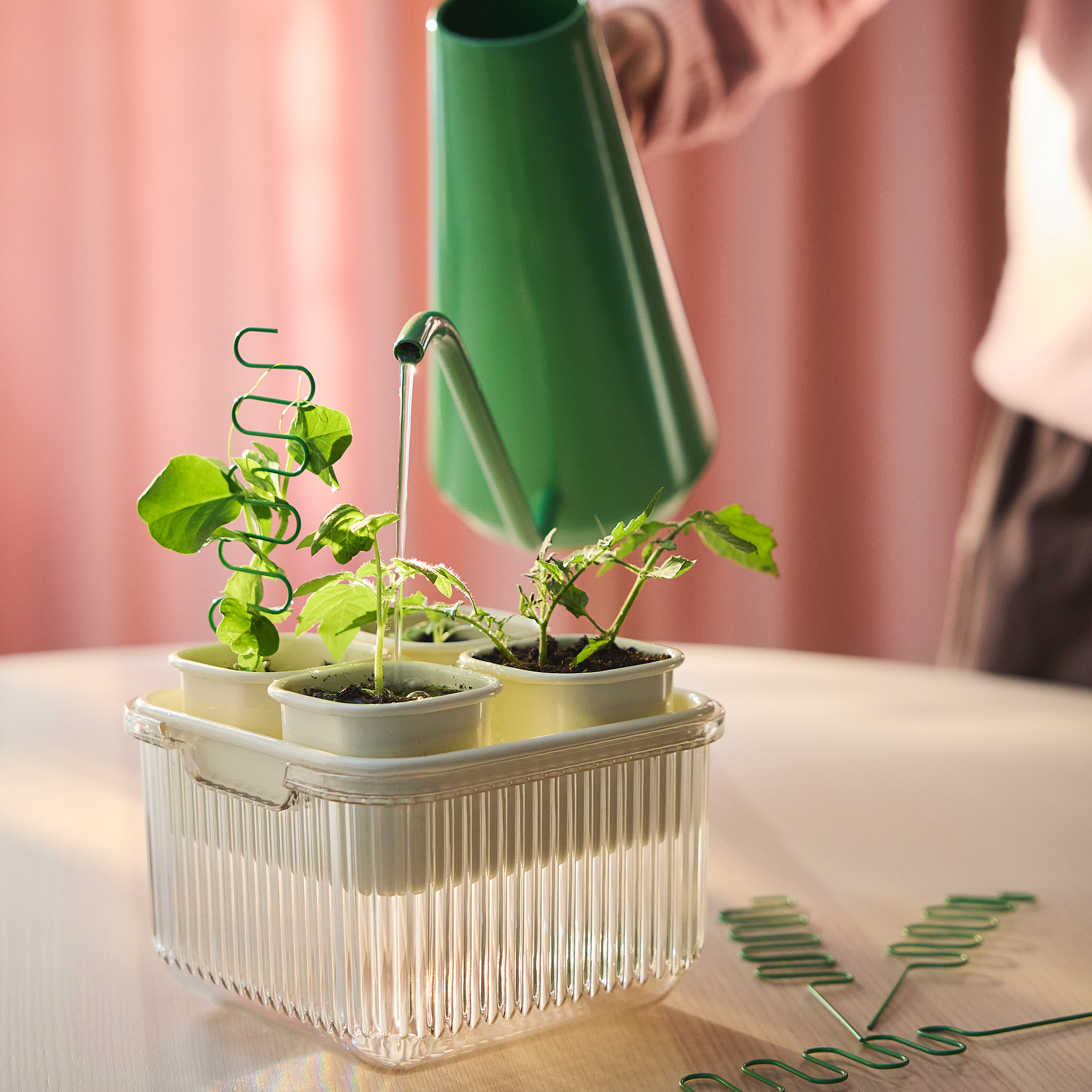 DOFTRIPS watering can