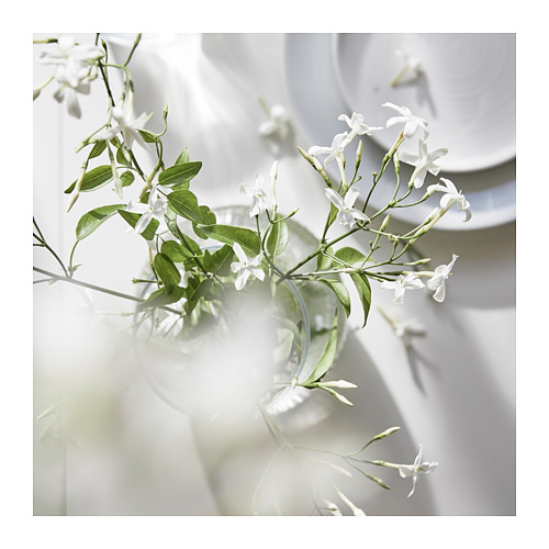LUGNARE 杯裝香味蠟燭/2燈芯