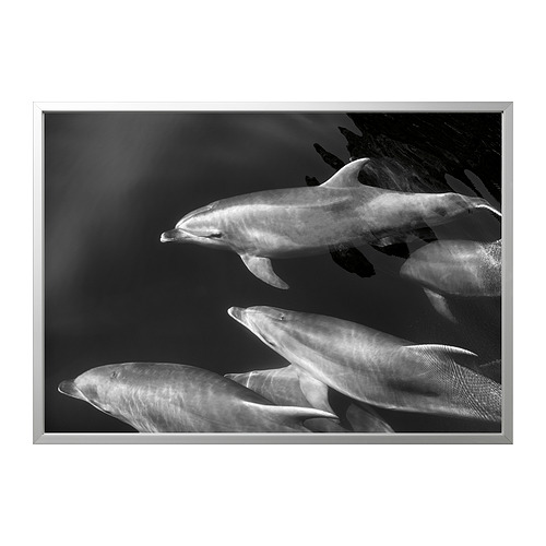 BJÖRKSTA picture with frame