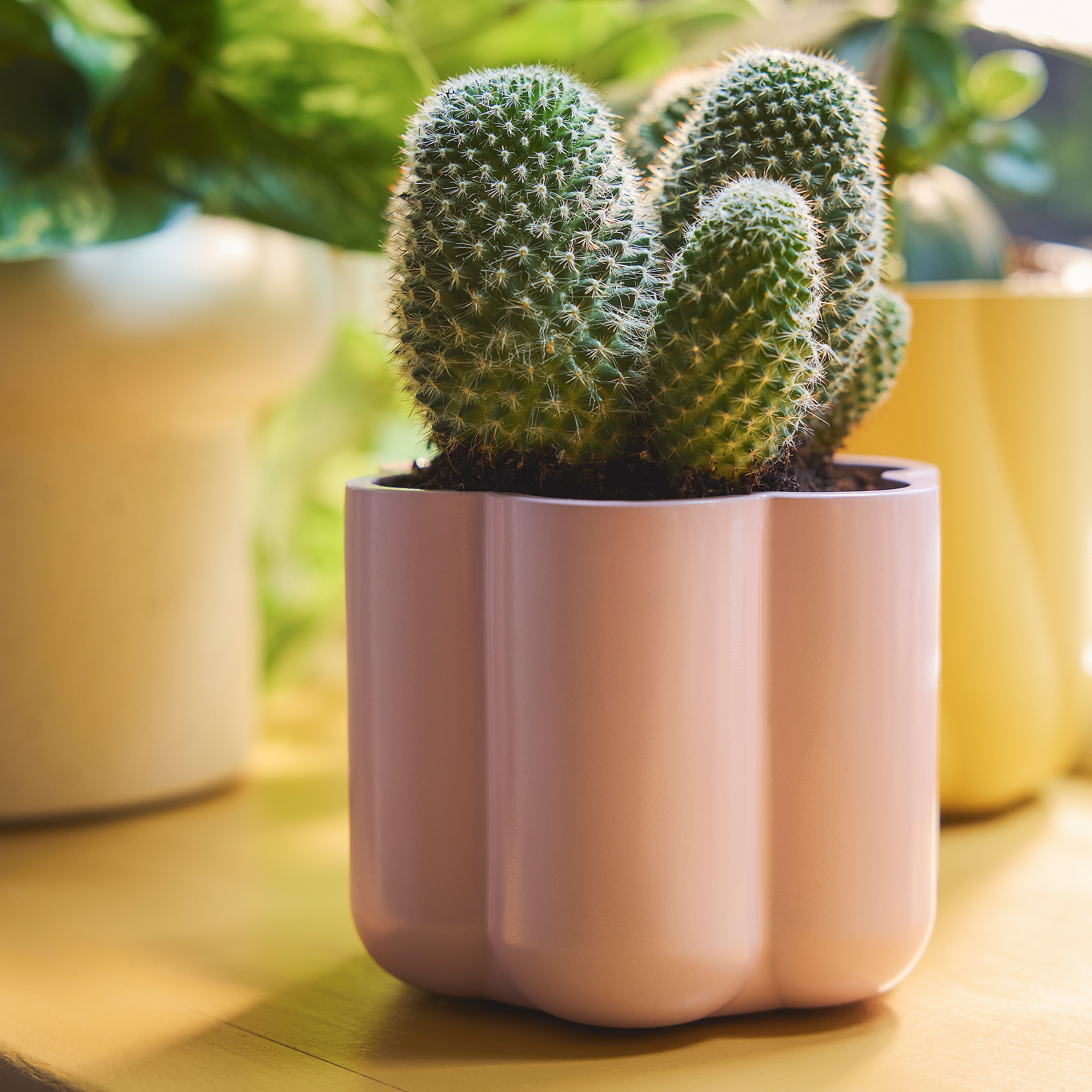 DOFTRIPS plant pot