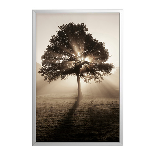 BJÖRKSTA picture with frame
