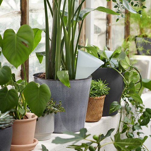 SVÄMSKOG self-watering insert