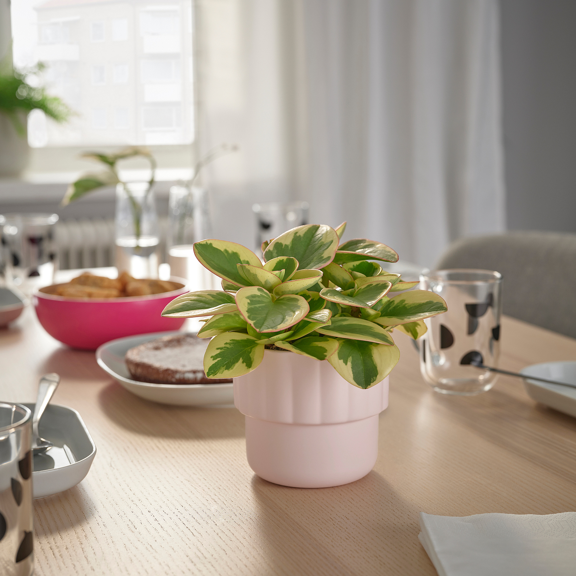 HÄNGSÄLG plant pot