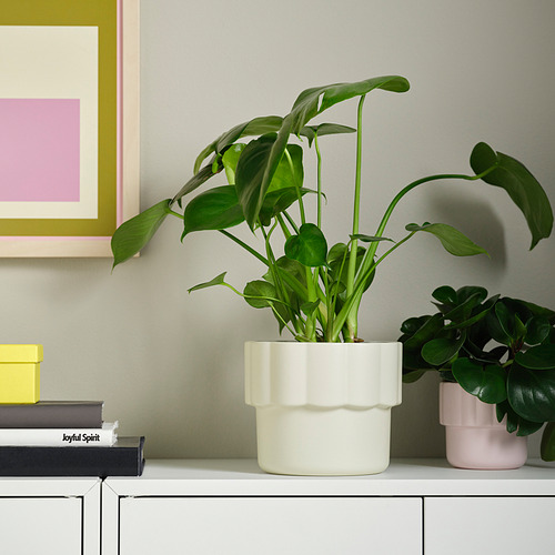HÄNGSÄLG plant pot