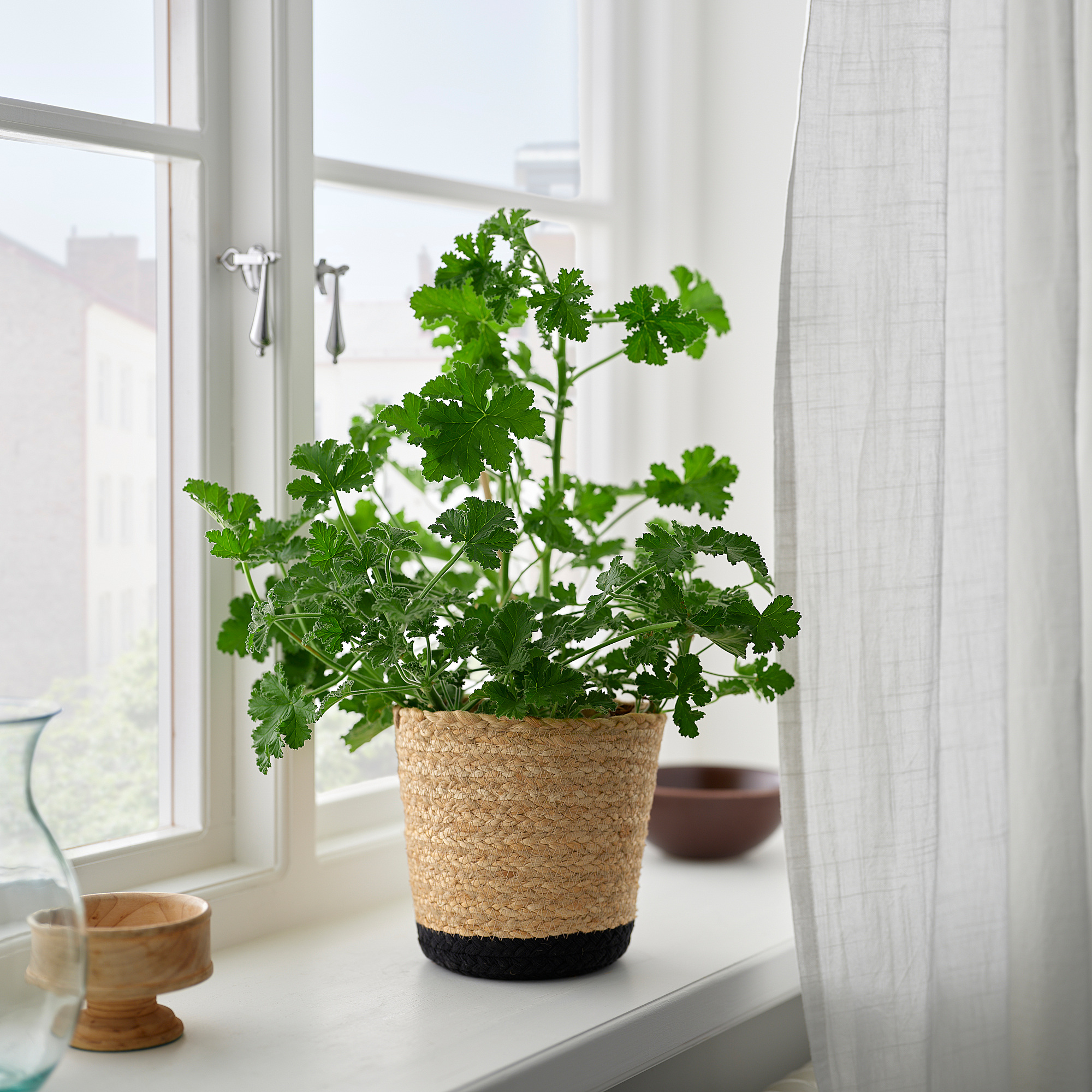 TÄRNMÅS plant pot