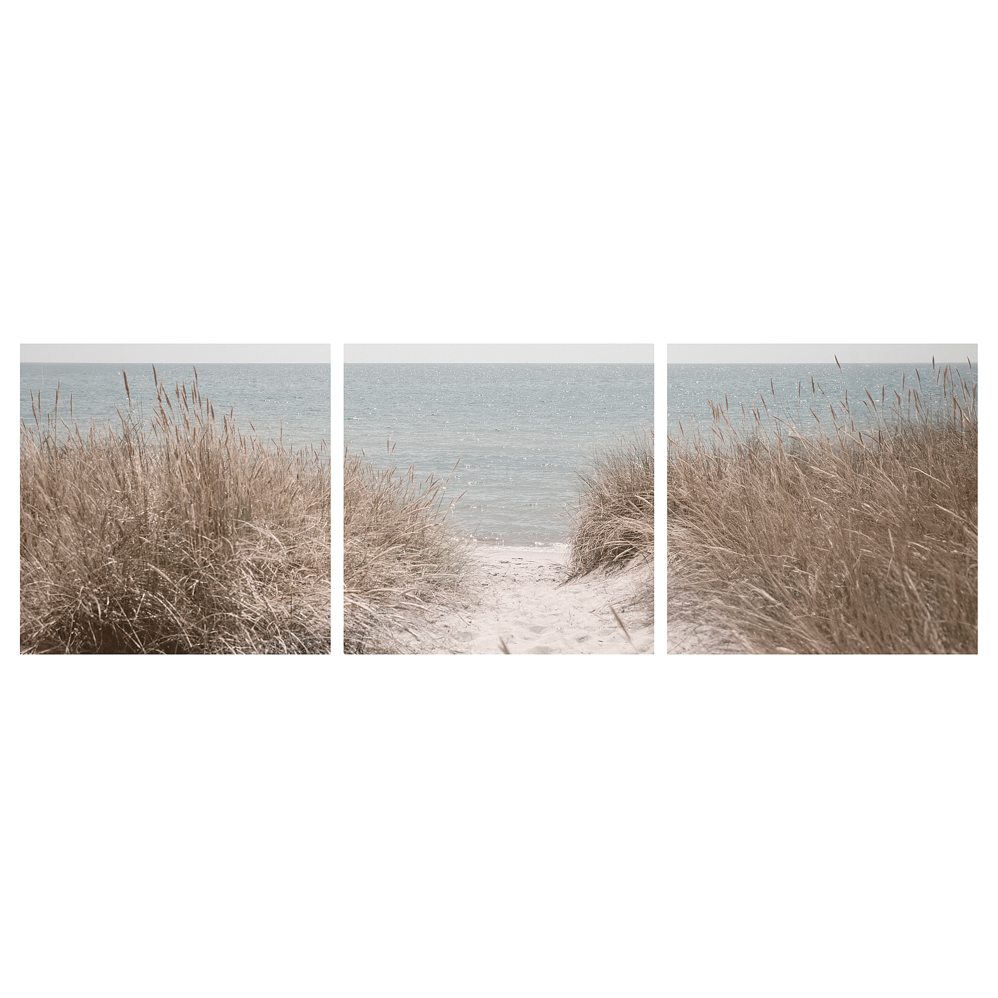 PJÄTTERYD 畫