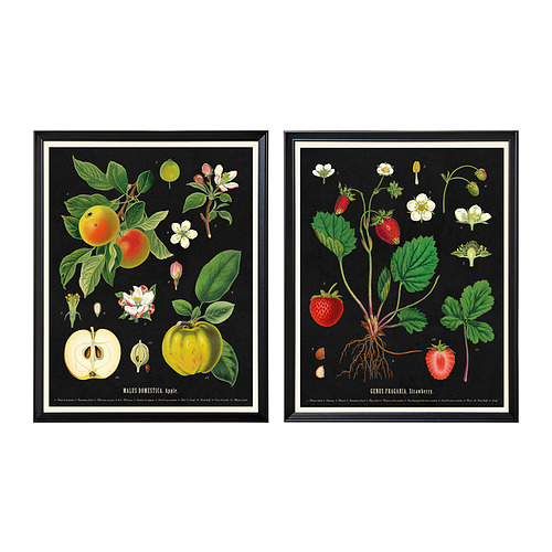 KNOPPÄNG frame with poster