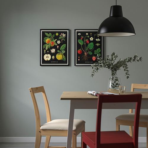 KNOPPÄNG frame with poster