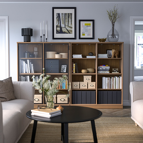 LANESUND storage combination
