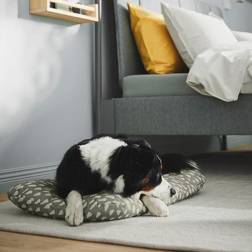 UTSÅDD pet cushion