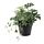 FEJKA - 人造盆栽, 室內/戶外用/插花 綠色 | IKEA 香港及澳門 - PE819183_S1