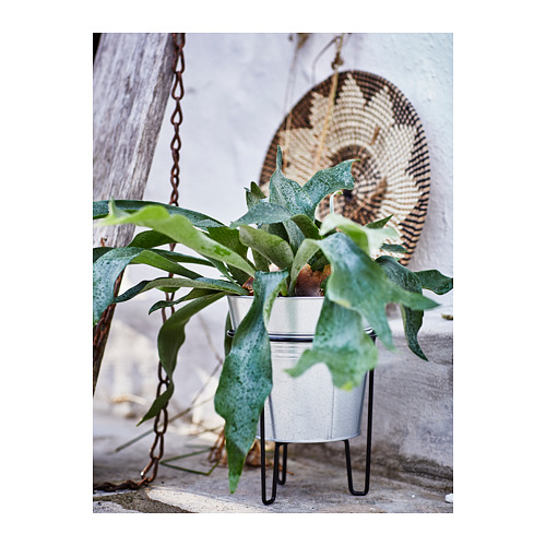 SVARTPEPPAR plant stand