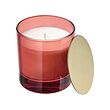 VINTERFINT scented candle in glass with lid