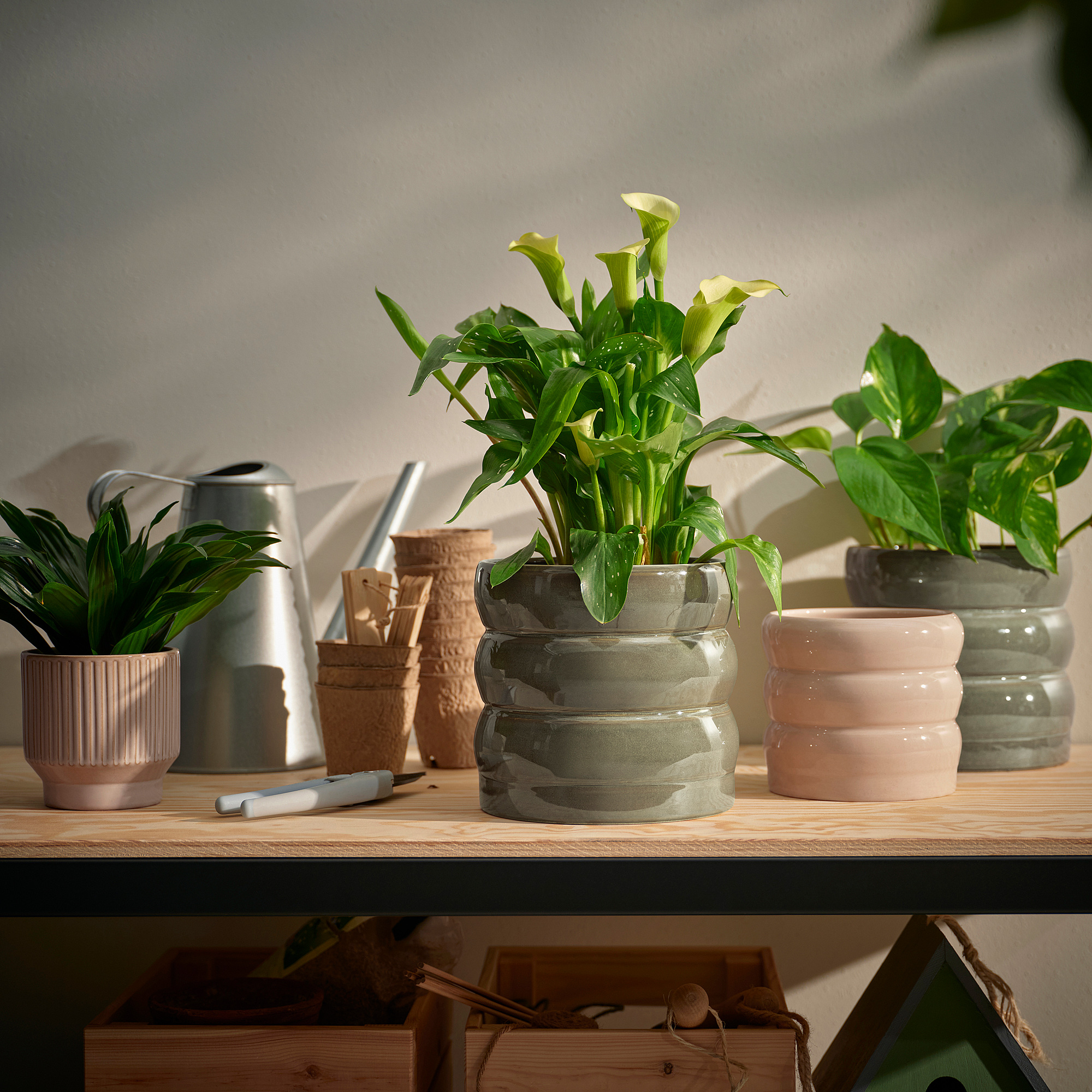 HASSELBUKETT plant pot