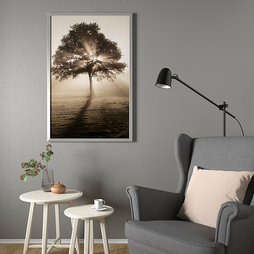 BJÖRKSTA picture with frame