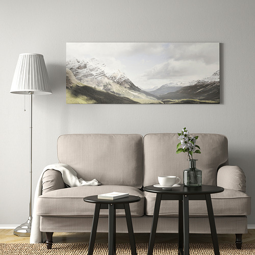 BJÖRKSTA picture with frame
