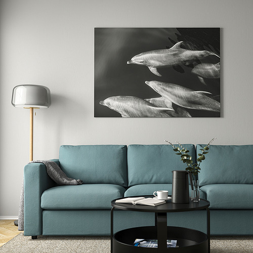 BJÖRKSTA picture with frame