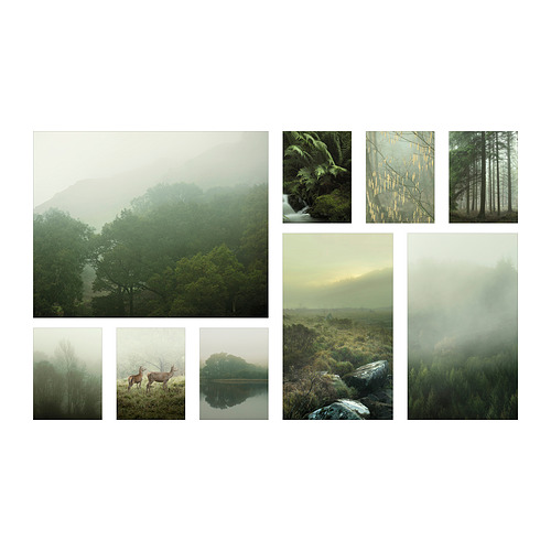 PJÄTTERYD picture, set of 9