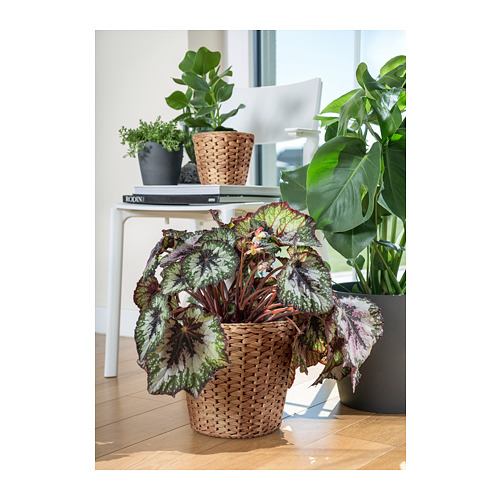 FRIDFULL plant pot