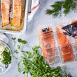 SJÖRAPPORT salmon fillet