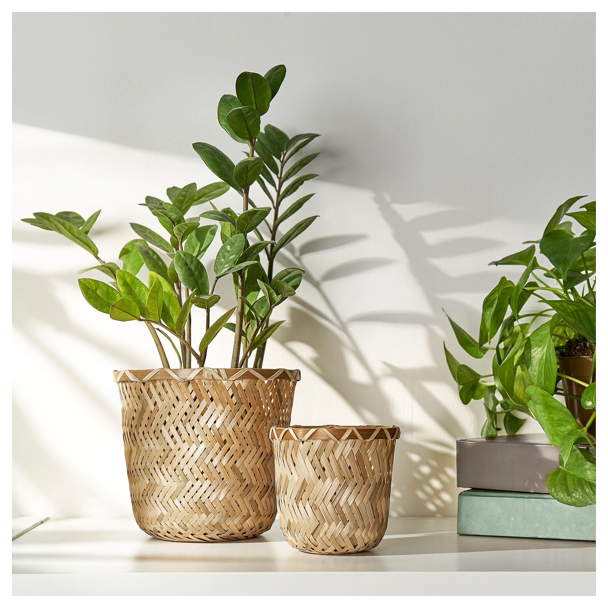 KLYNNON plant pot