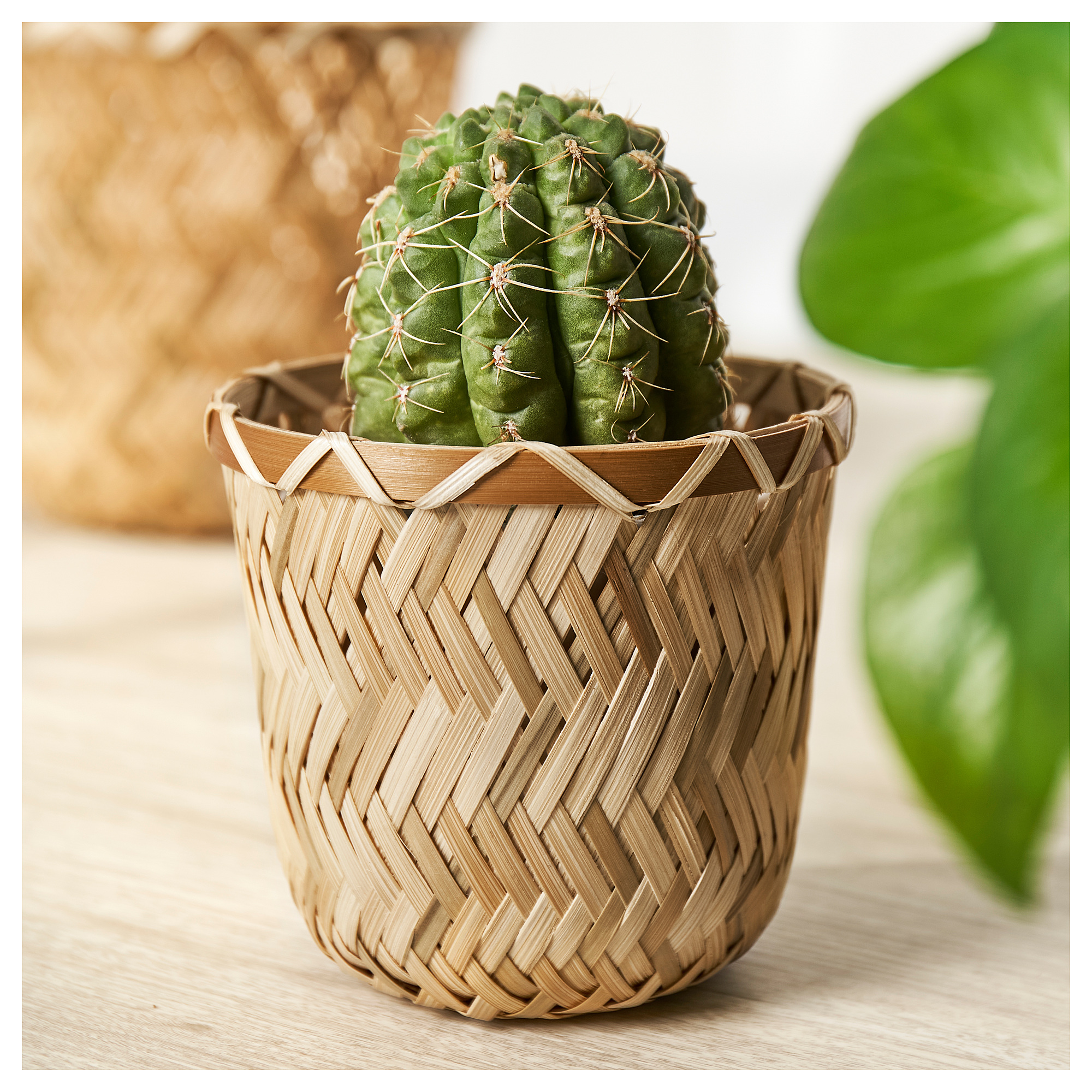 KLYNNON plant pot
