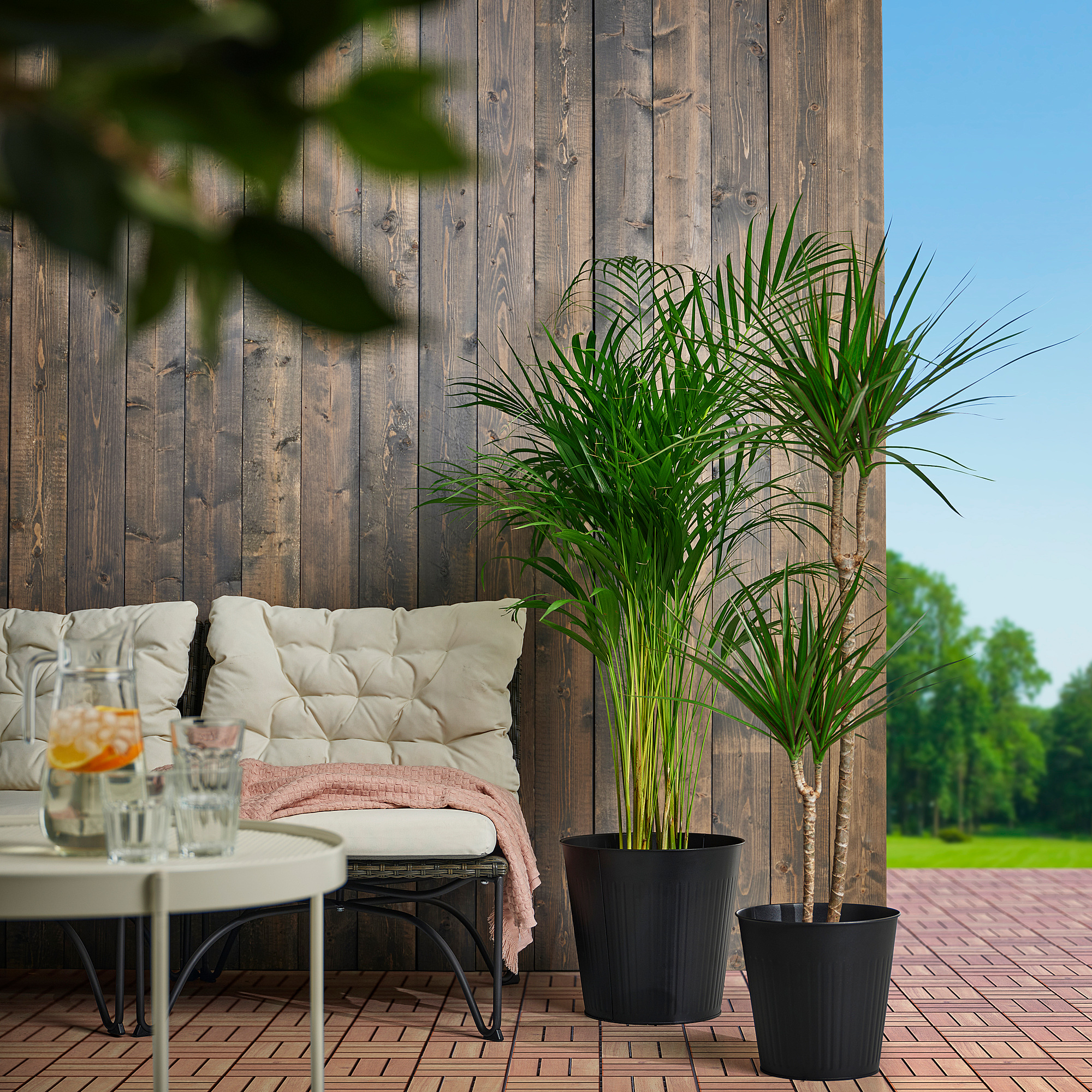 CITRONMELISS plant pot