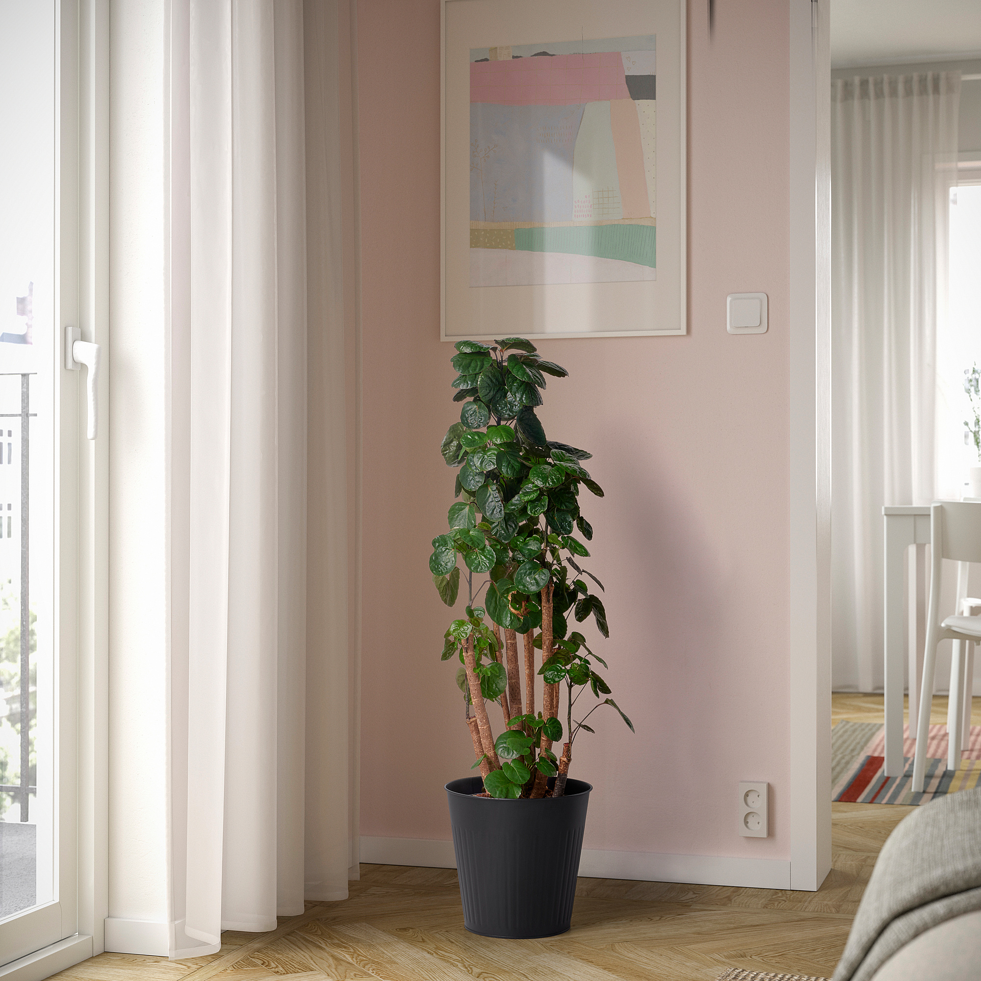 CITRONMELISS plant pot
