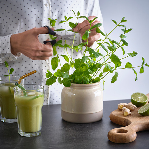 BRUGDHAJ jar with lid
