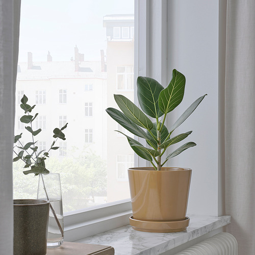 CITRUSFRUKT plant pot with saucer