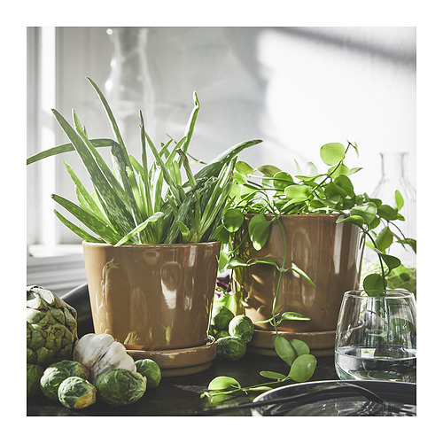 CITRUSFRUKT plant pot with saucer