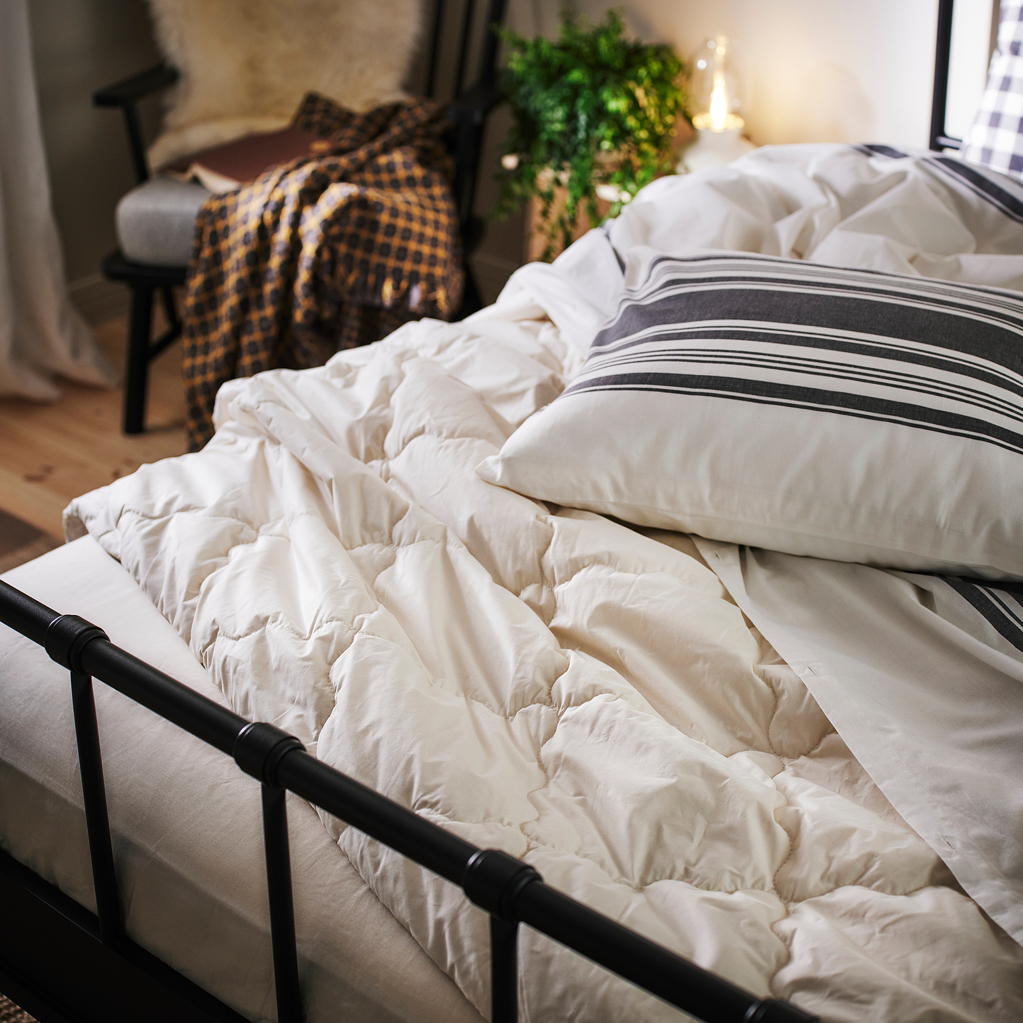 JÄTTEFRÄKEN duvet cover and 2 pillowcases