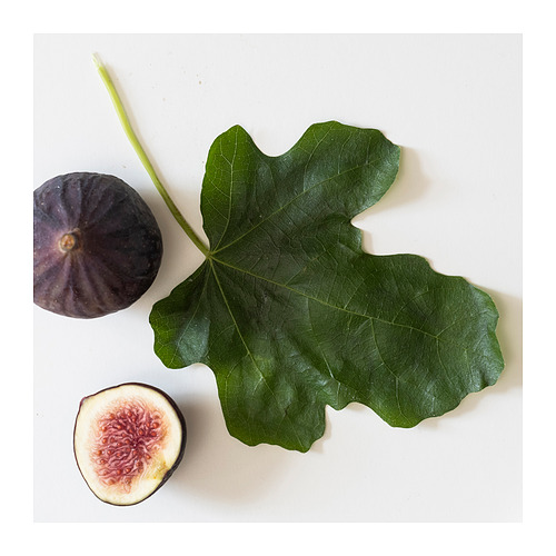 LOTSFÅGEL 杯裝香味蠟燭