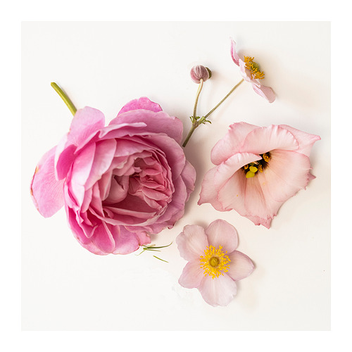 JUVELTRAST 杯裝香味蠟燭