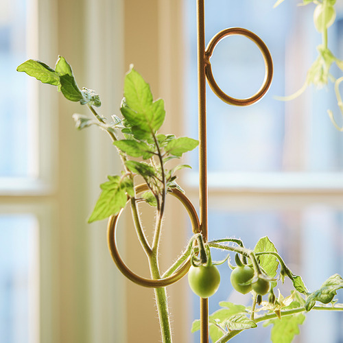 DOFTRIPS 植物支撐架，2件套裝