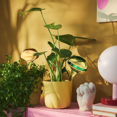 DOFTRIPS self-watering insert